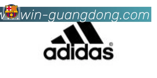 广东体彩合作伙伴